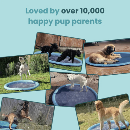 ExoraHub™ Sprinkler Pad